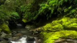 River