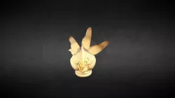 Roo-Star