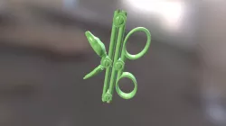 Scissor Snake Python