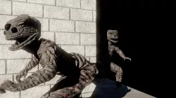 Shadow Walkers