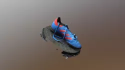 Shoe