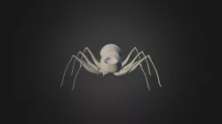 Spider Lady Start