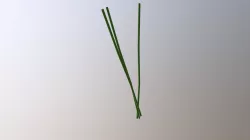 Stem