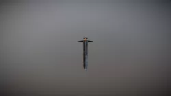 Sword WIP - Practice