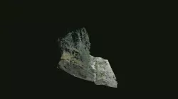 talus 3D Models | Page 1 | STLFinder