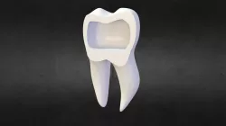 Tooth 3d model