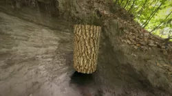 Tree Test