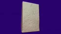 Triassic Dinosaur Tracks