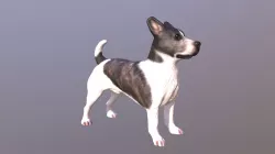 1803011-Buddy