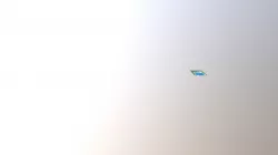 1b