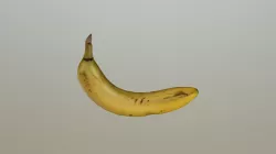 3D Scan Iphone opt