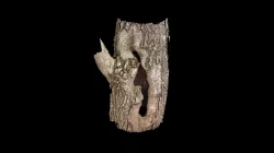 Bat Roost Feature