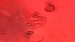 Blood