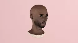 BO'HEAD