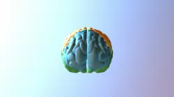 Brainv2