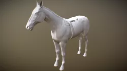Caballo 2018