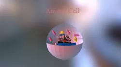Cell