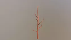 Dead Tree