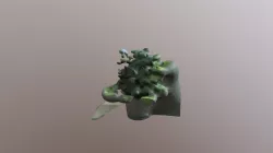 Fake-plant(atmospheric)