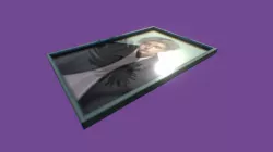 Frame