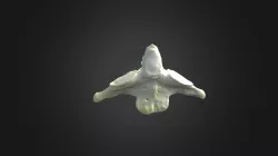 Gorilla gorilla gorilla, C2 vertebra (axis)