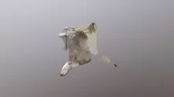 hhhh