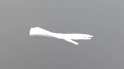High Res Hand