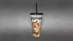 Lion Cup 2
