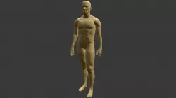 Male Character Model