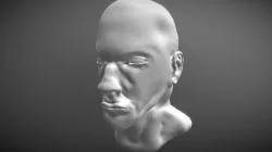 Male Head