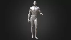 Male Pose