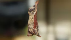 Meat Carcass