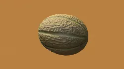 Melon Instant Meshes