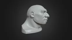 Neanderthal Head
