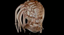 Predator Model