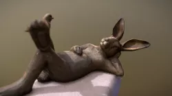 Resting Rabbit