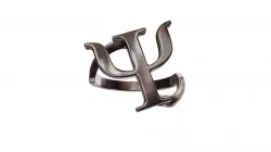 Twisted Psychology Ring