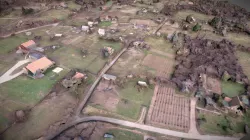 Vineyards terrain model