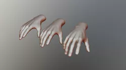 VR Hand Test
