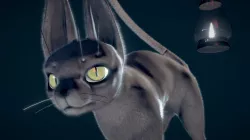 Yuneko (油猫)