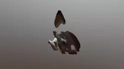 yyy