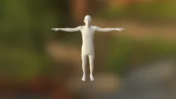 3D Character