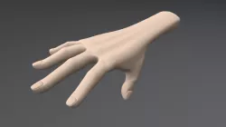 3D Hand model