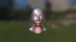 3D Head