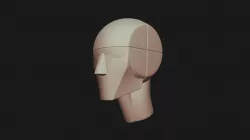 Andrew Loomis Head