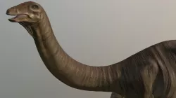 Apatosaurus