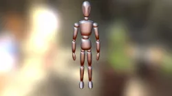 Body Model