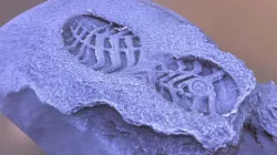 Boot print