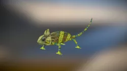 Chameleon