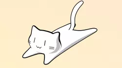 Crazycray Cat